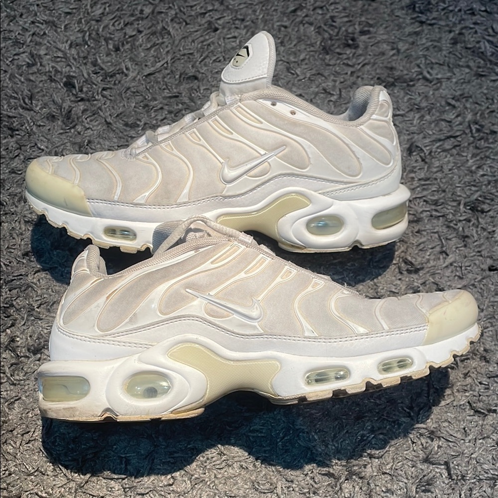 Nike air max plus